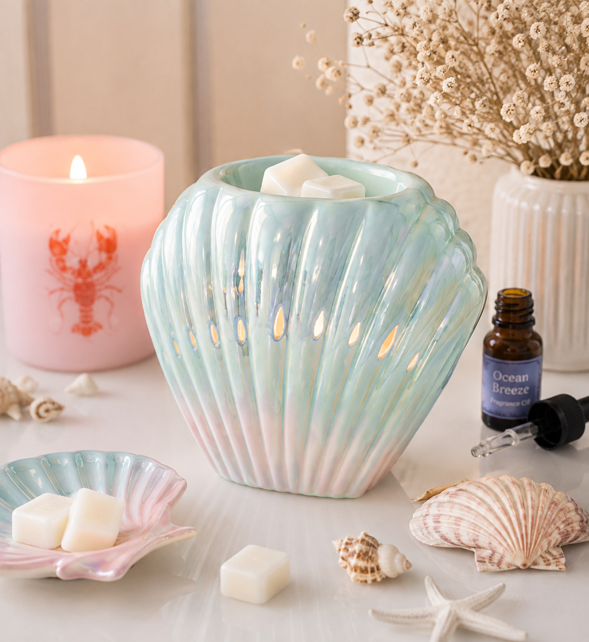 Coquillage irisé
