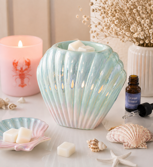 Coquillage irisé
