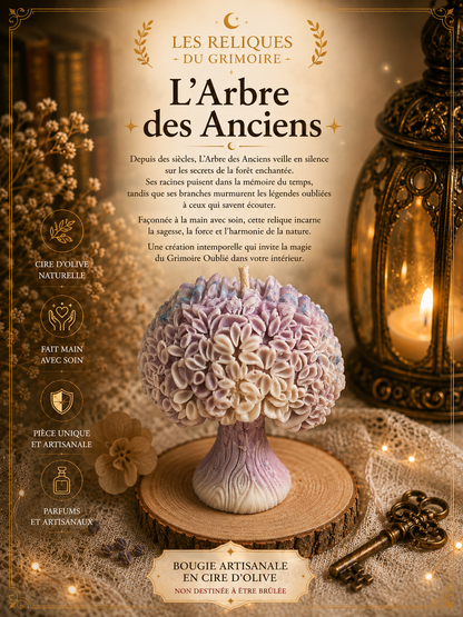L'arbre des Anciens